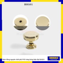 Núm đồng nguyên chất phủ PVD vàng bóng hiện đại BHG01
