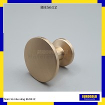 Núm tủ màu vàng BH5612